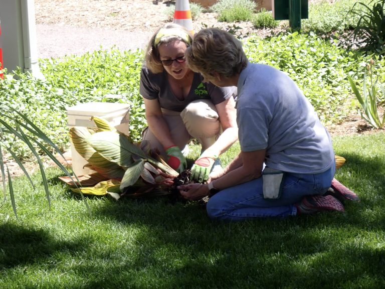 63-JPF-CWGSPlatSales-20220603-6030369