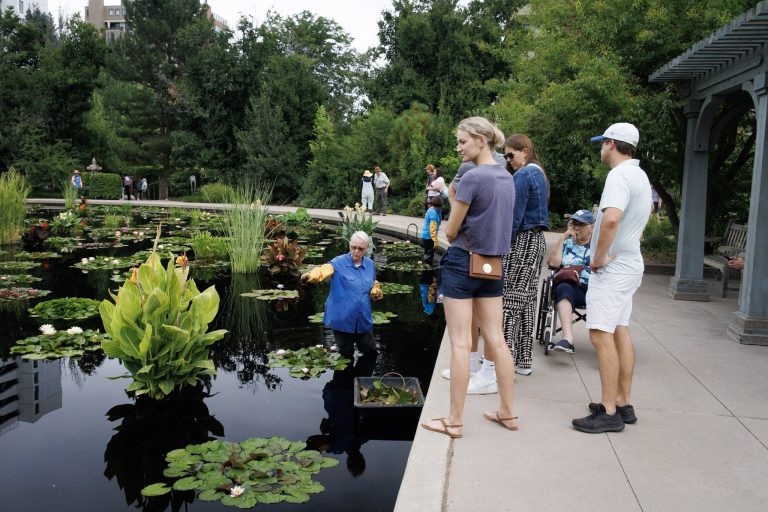 91-JPF-WaterBlossomCelebration-20230812-7567