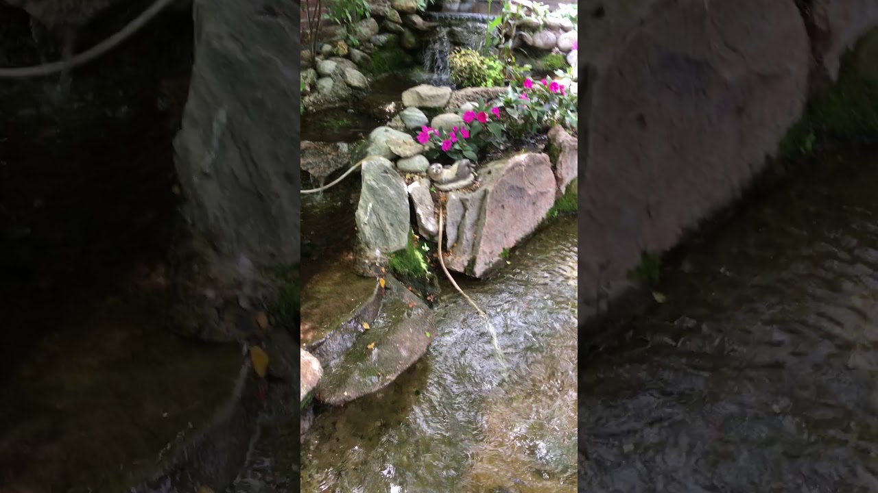 2020 Virtual Pond Tour